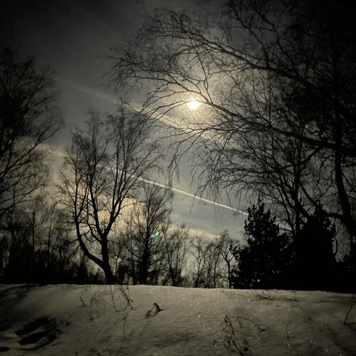 Photo #12537934