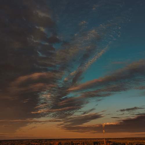 Photo #12537984
