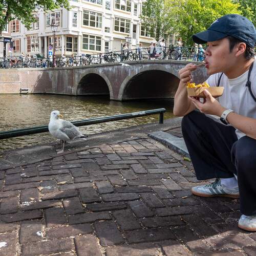 Фотография #12538097