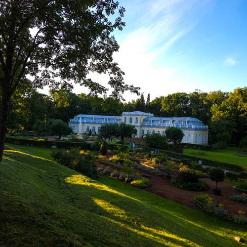 Photo #12538219