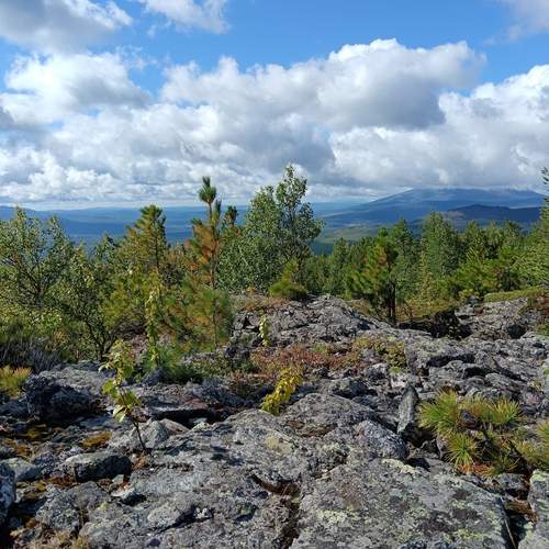 Photo #12538419