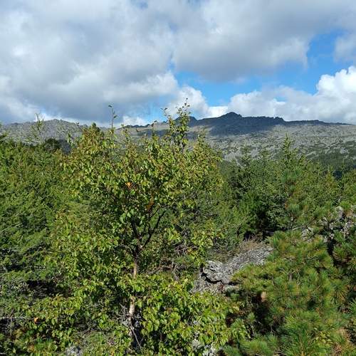 Photo #12538421