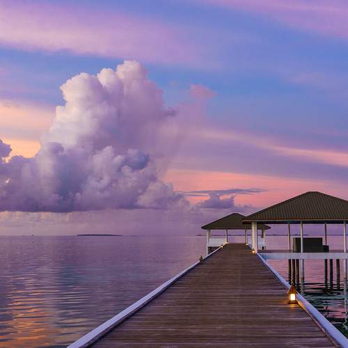 Photo #12538423