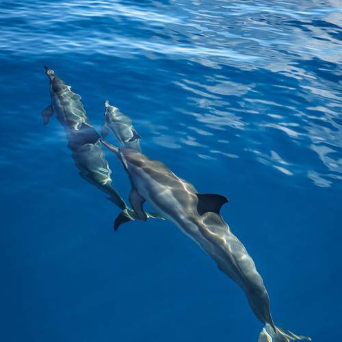 Photo #12538430