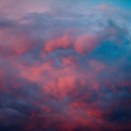 Photo #12538527