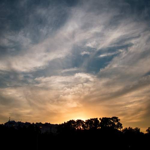 Photo #12538528