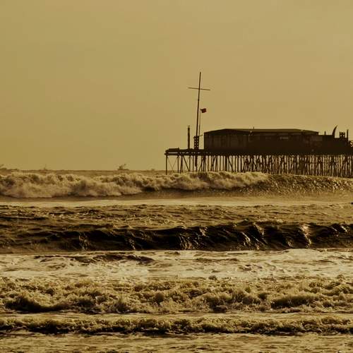 Photo #12538542