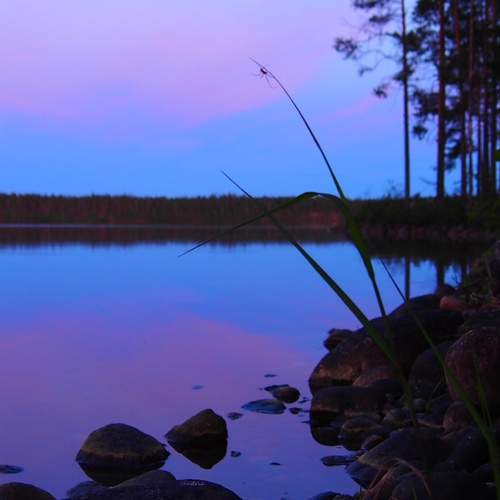 Photo #12538671