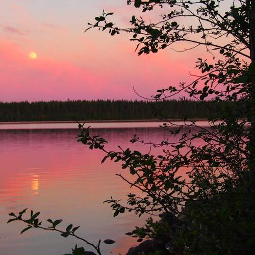 Photo #12538672