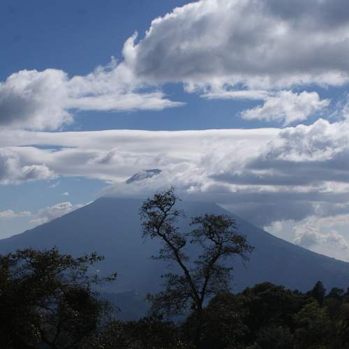 Photo #12538682