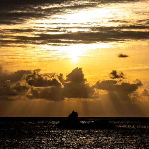 Photo #12538713