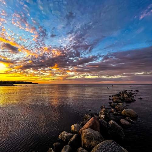 Photo #12538871