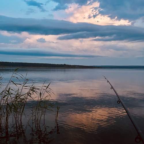 Photo #12538872