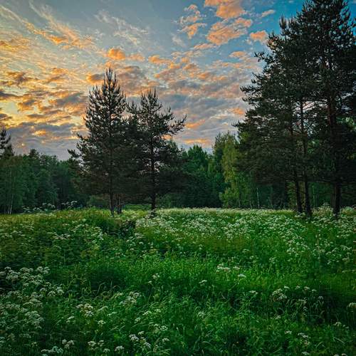 Photo #12538873
