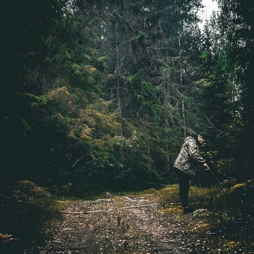 Photo #12538878