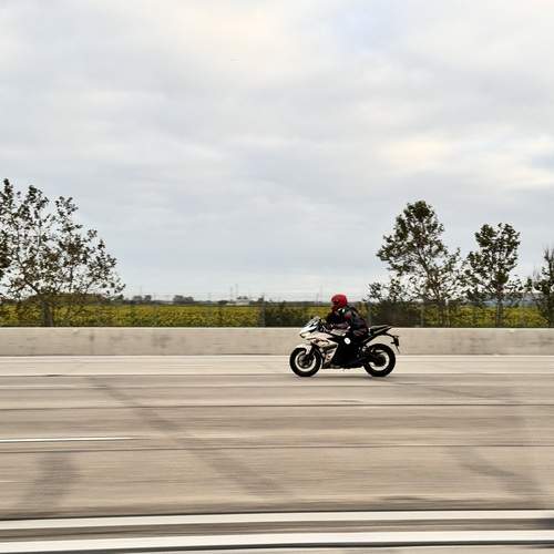 Photo #12538946