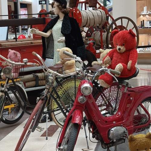 The Red Expedition