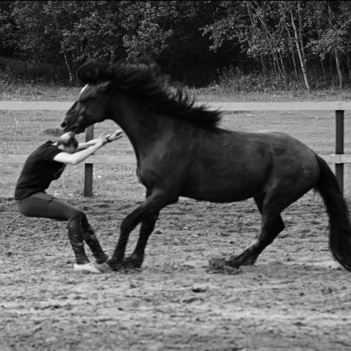 Photo #12539212