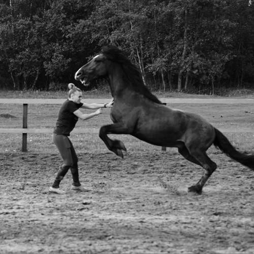 Photo #12539219