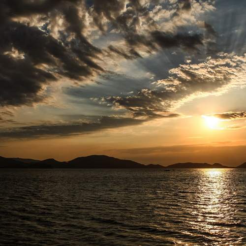 Photo #12539251