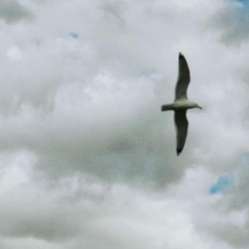 Photo #12539480
