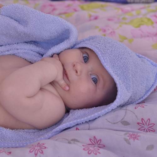 Photo #12539494