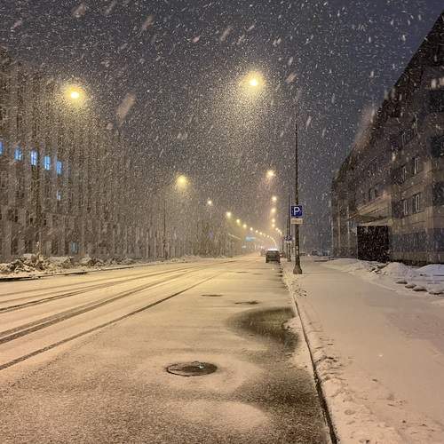 Photo #12539596
