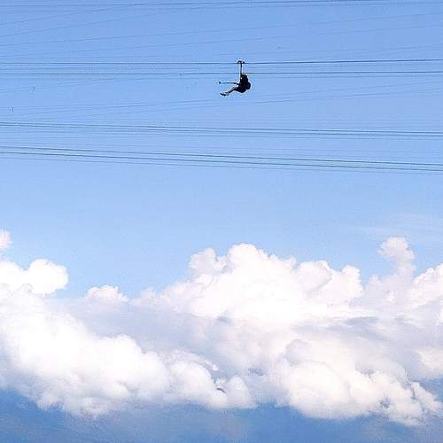 Photo #12539674