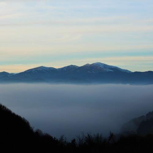 Photo #12539678