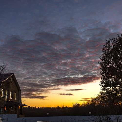 Photo #12539702