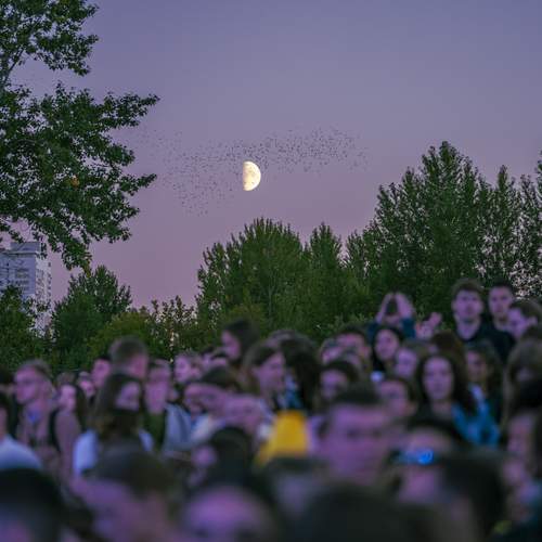 Фотография #12539744