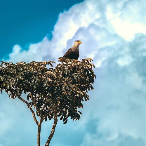 Фотография #12539880