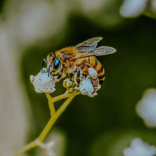 Фотография #12539904