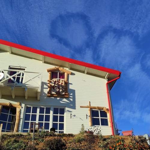 Photo #12539985