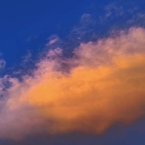 Photo #12539992
