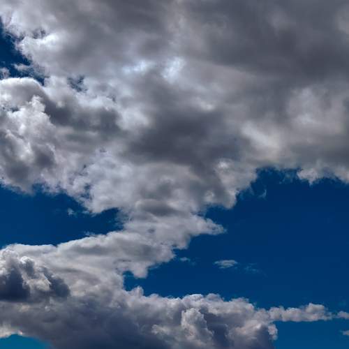 Photo #12539993