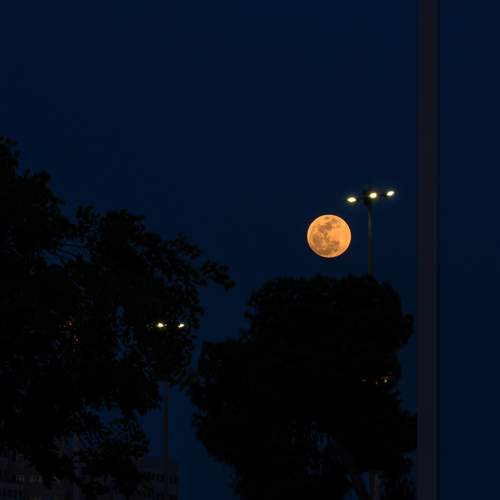 Photo #12540125