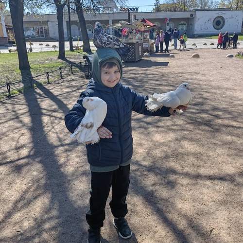 Photo #12540212