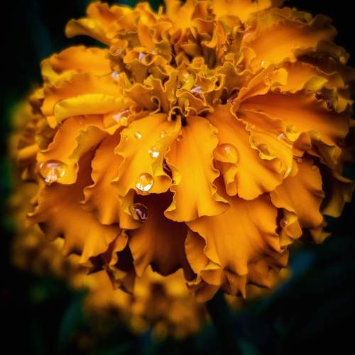 Photo #12540215