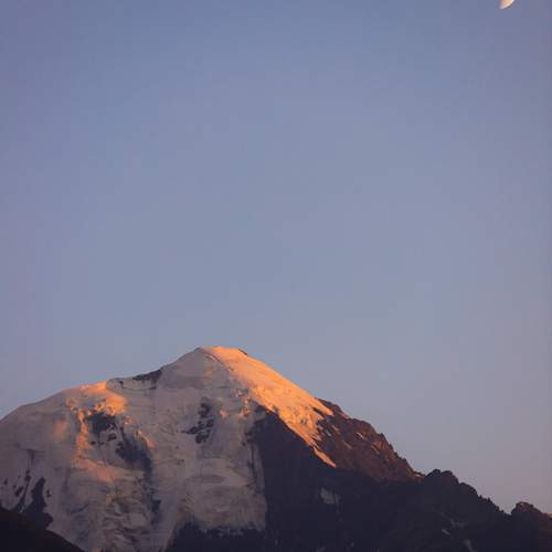 Photo #12540272
