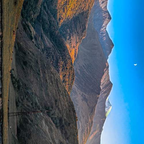 Photo #12540273