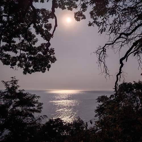 Photo #12540274