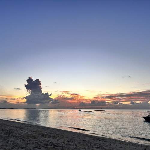 Photo #12540362