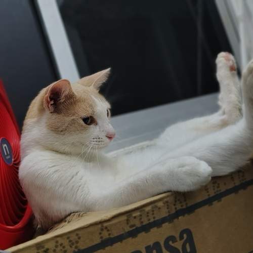 Photo #12540386