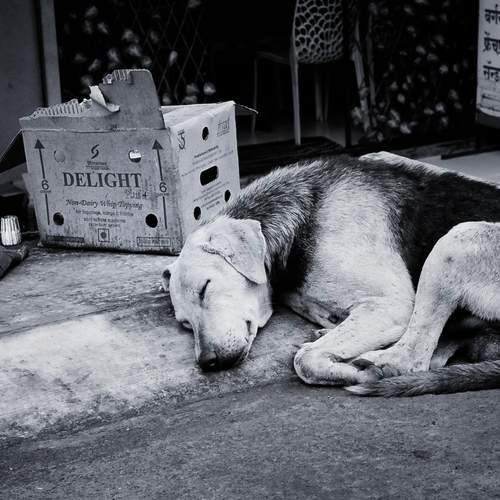 Photo #12540393