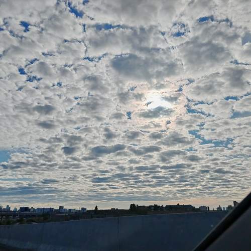 Photo #12540415
