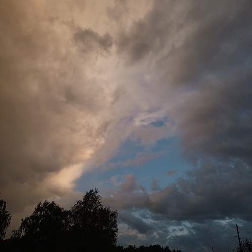 Photo #12540474
