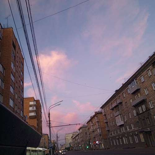 Photo #12540491
