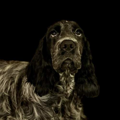Photo #12540536