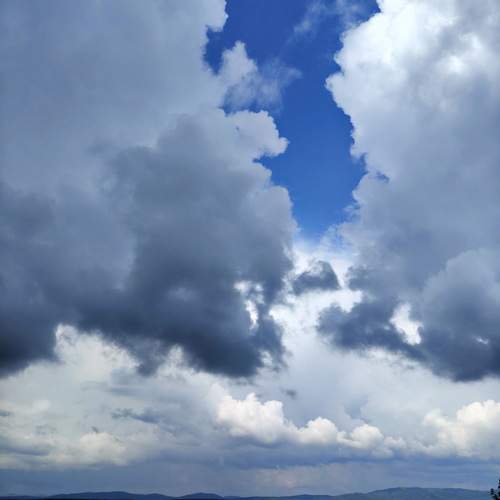 Photo #12540582
